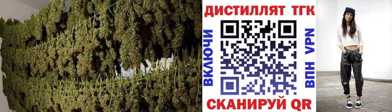 дарк нет Telegram  Новоалтайск  ТГК концентрат  цены  